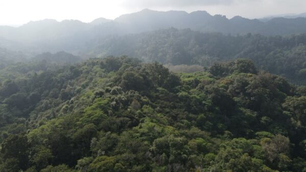 Retiro de ayuno, Hotel Boutique Finca de la Niebla - 6 al 12 de febrero 2025 - Imagen 3