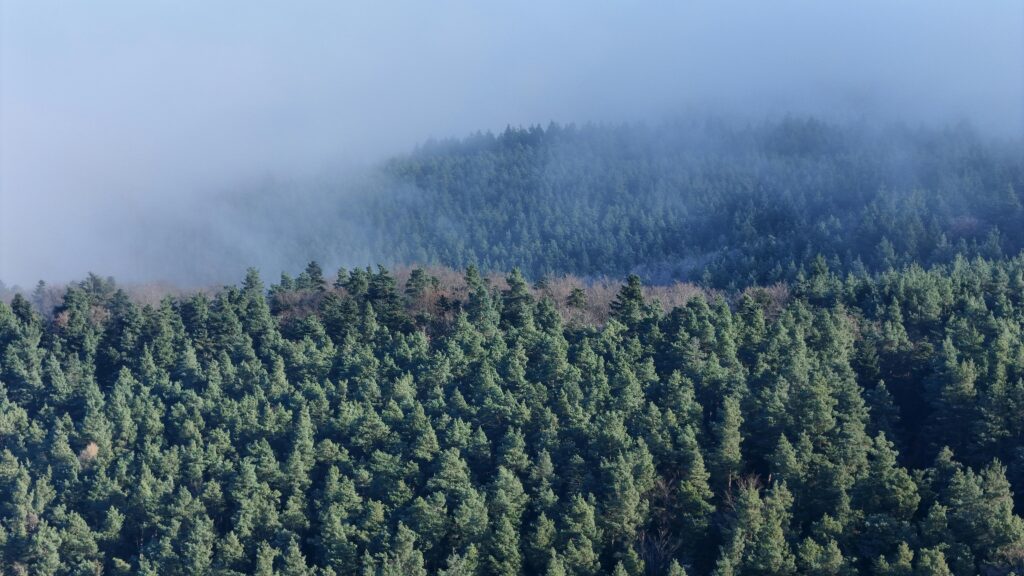 Free stock photo of above the clouds, aerial landscape, aerial photography